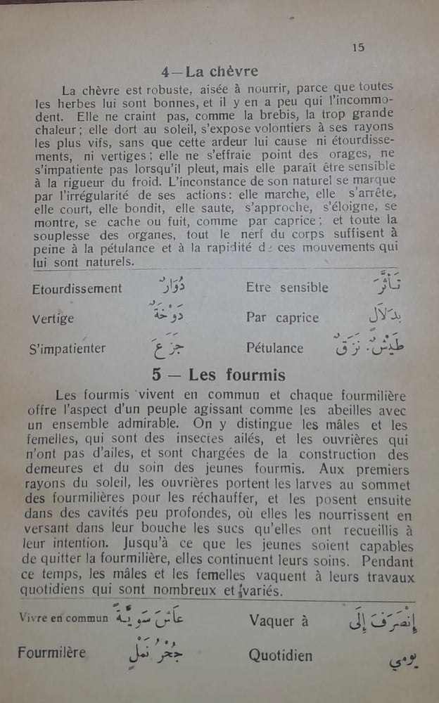 anecdotes (w+13)