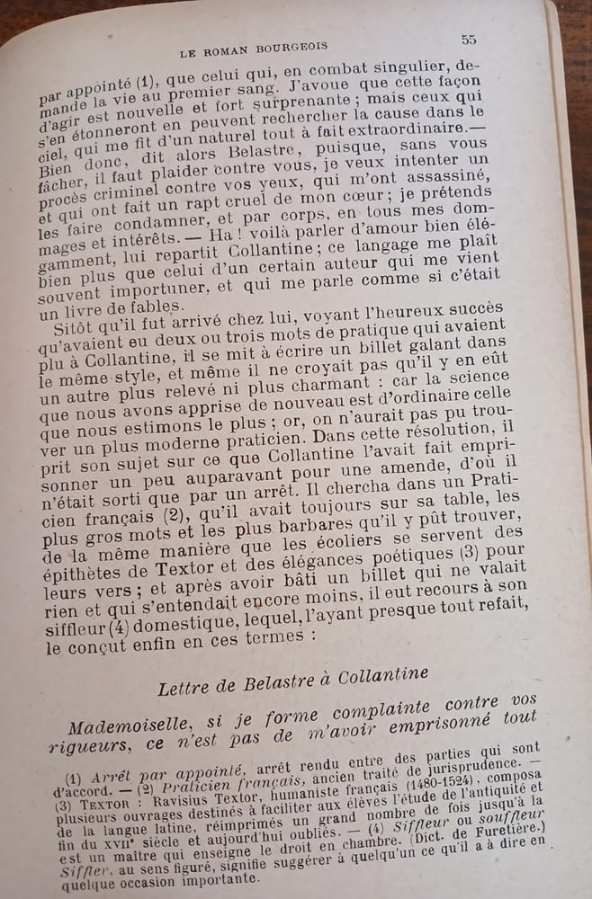 le roman bourgeois