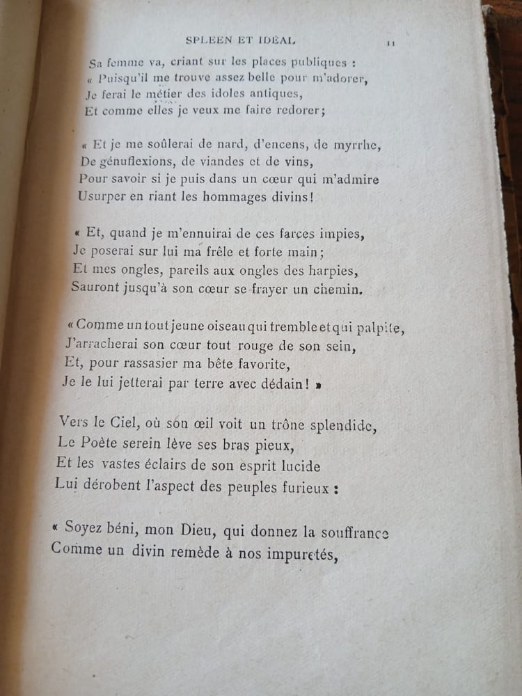 les fleurs du mal