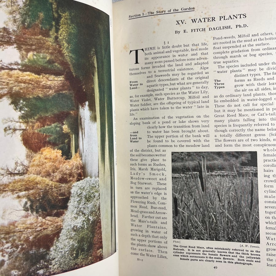 New book of gardenning- VOL .1-2-3  (M1)