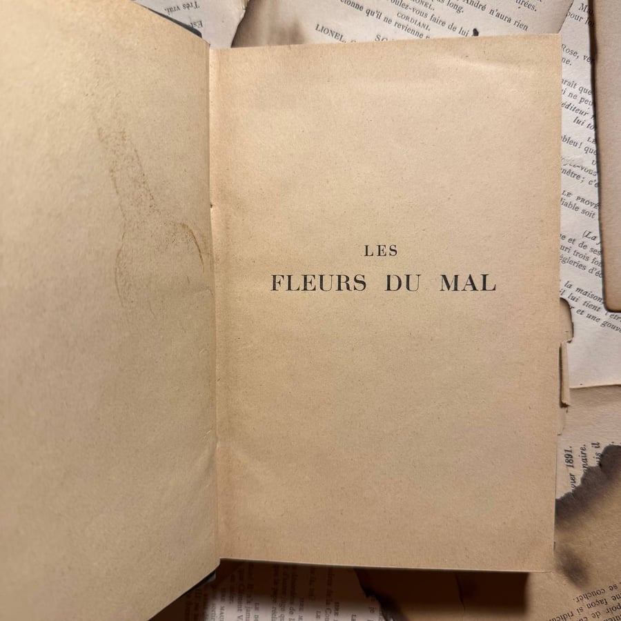 Les fleurs du Mal - De Paul Valeri - Q7