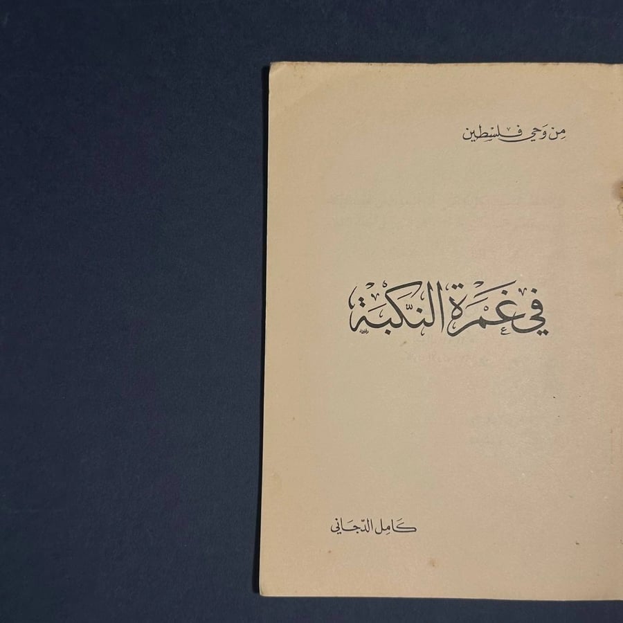 في غمرة النكبة - كامل الدجاني