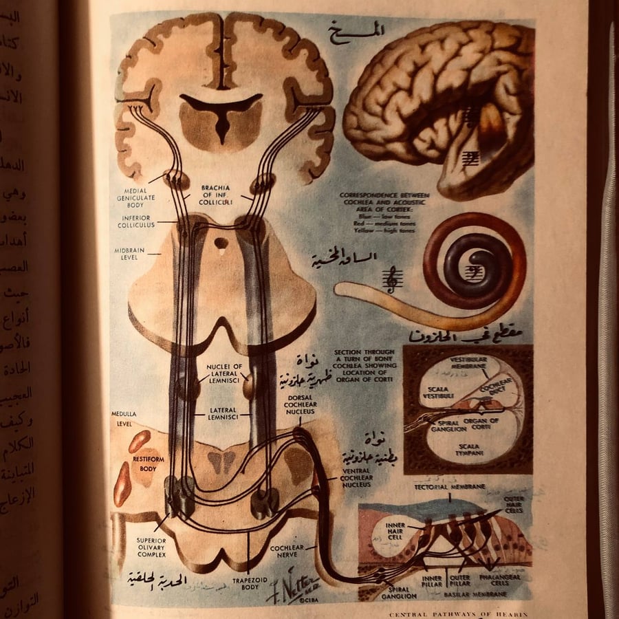 الطب محراب للايمان الجزء الاول _ خالص جلبي