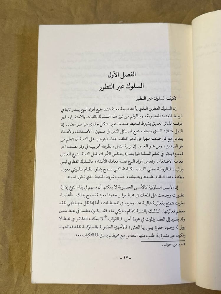 كتاب الامومة نمو العلاقة بين الطفل والام مرجع نفسي تربوي متاح للشراء ف
