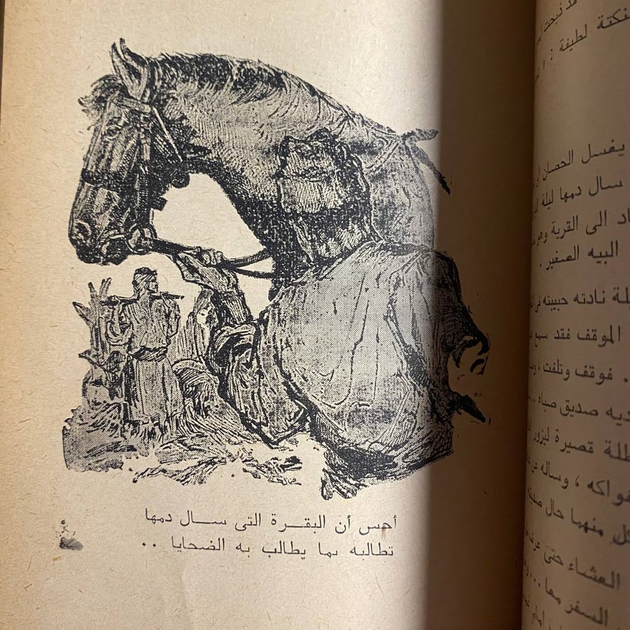 الضفيرة السوداء -محمد عبدالحليم -ms