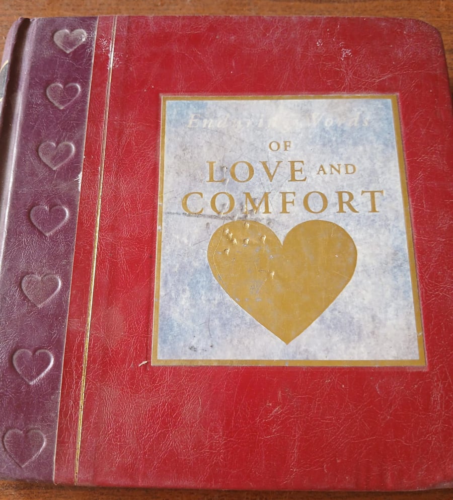 of love and comfort(P6)
