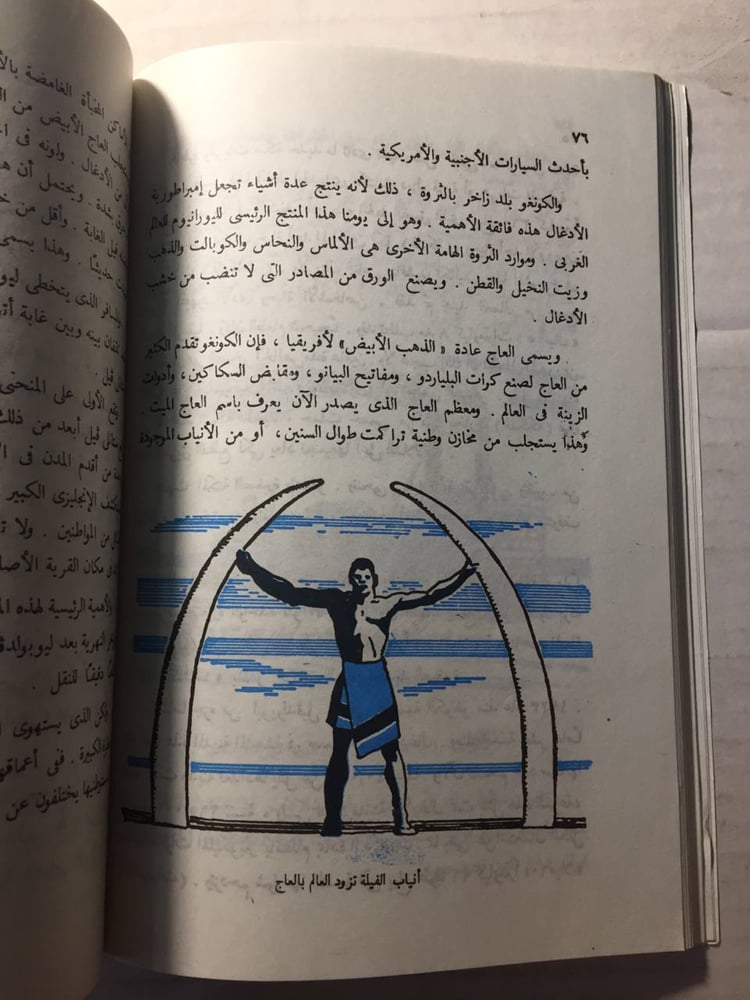 كل شئ عن الأدغال- ارمسترونج سبيري (O5)