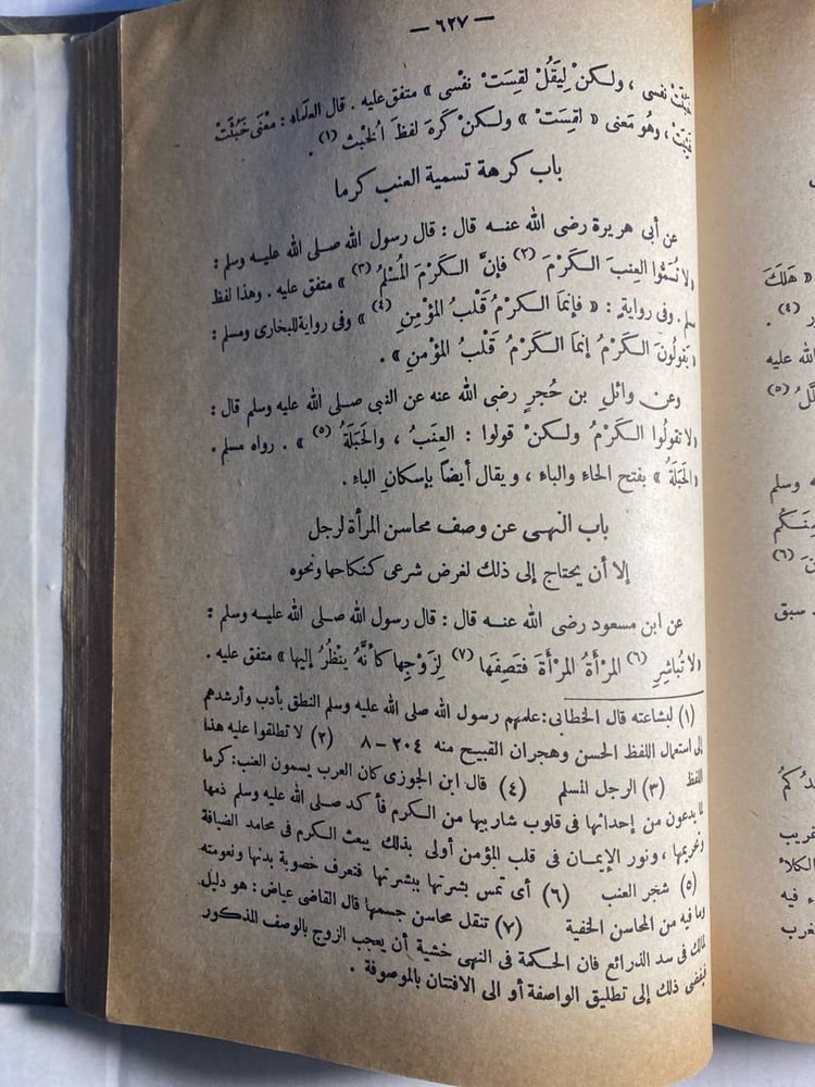 رياض الصالحين من كلام سيد المرسلين_الامام الحافظ محي الدين أبي زكريا يحيي بن شرف النووي(D5+)(B7)