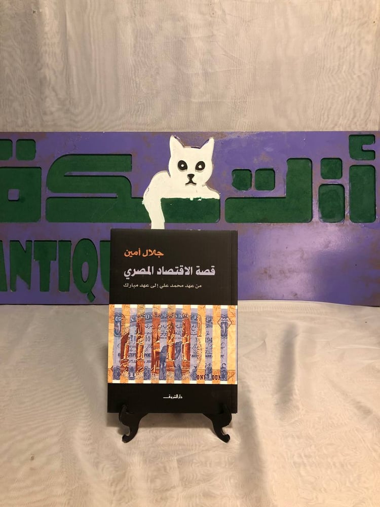 قصة الاقتصاد المصري من عهد محمد علي إلى عهد مبارك -جلال أمين
