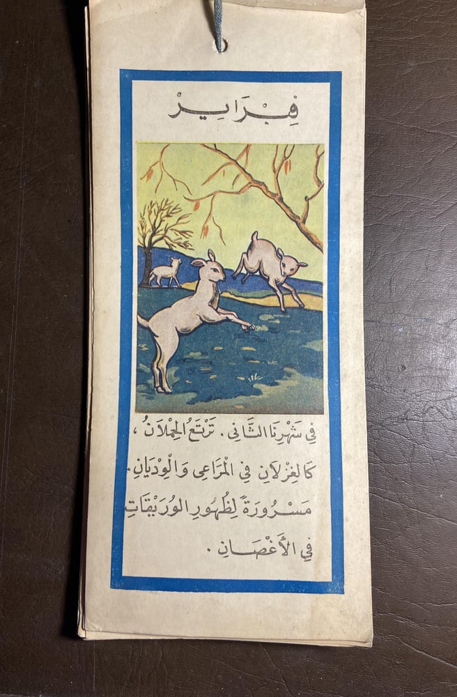 الشهور المصورة - بهيجة بيومي