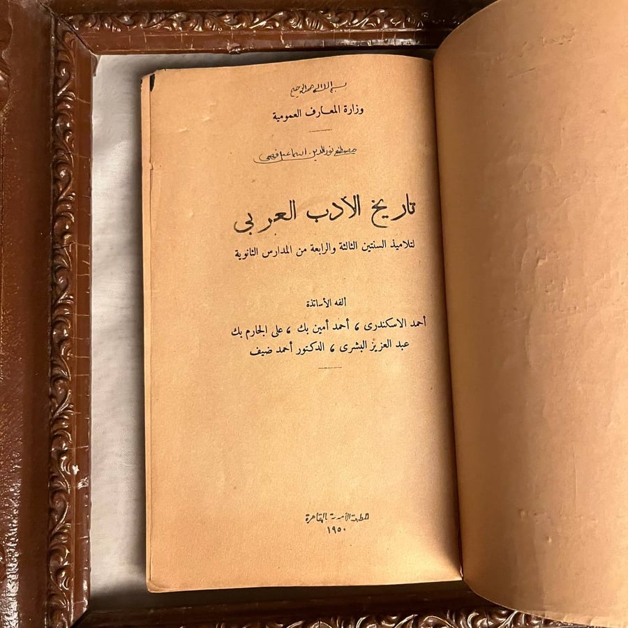 دراسة شاملة للأدب العربي