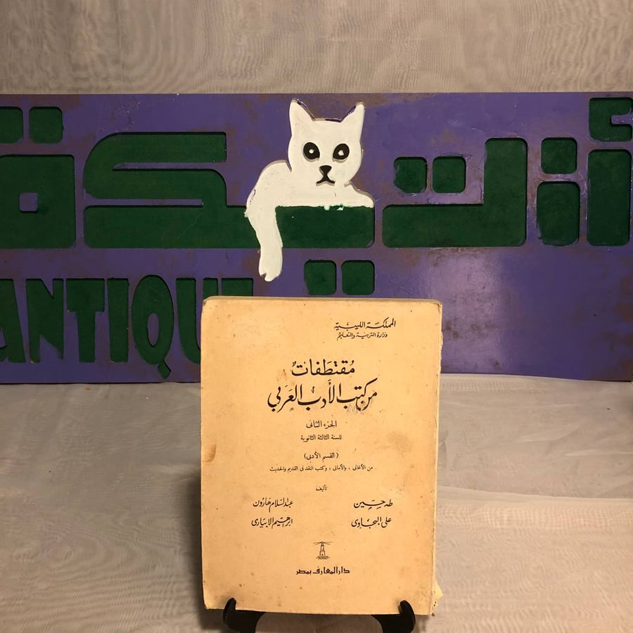 مقتطفات من كتب الأدب العربى -طه حسين-RB2