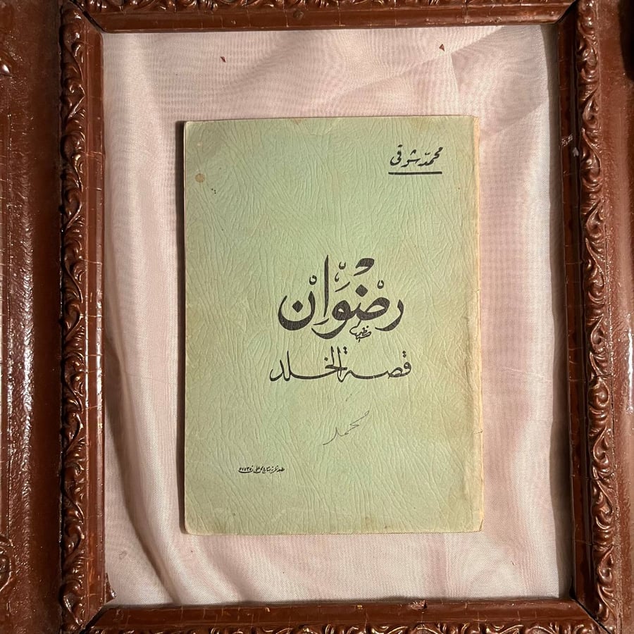 رضوان قصة الخلد -محمد شوقي