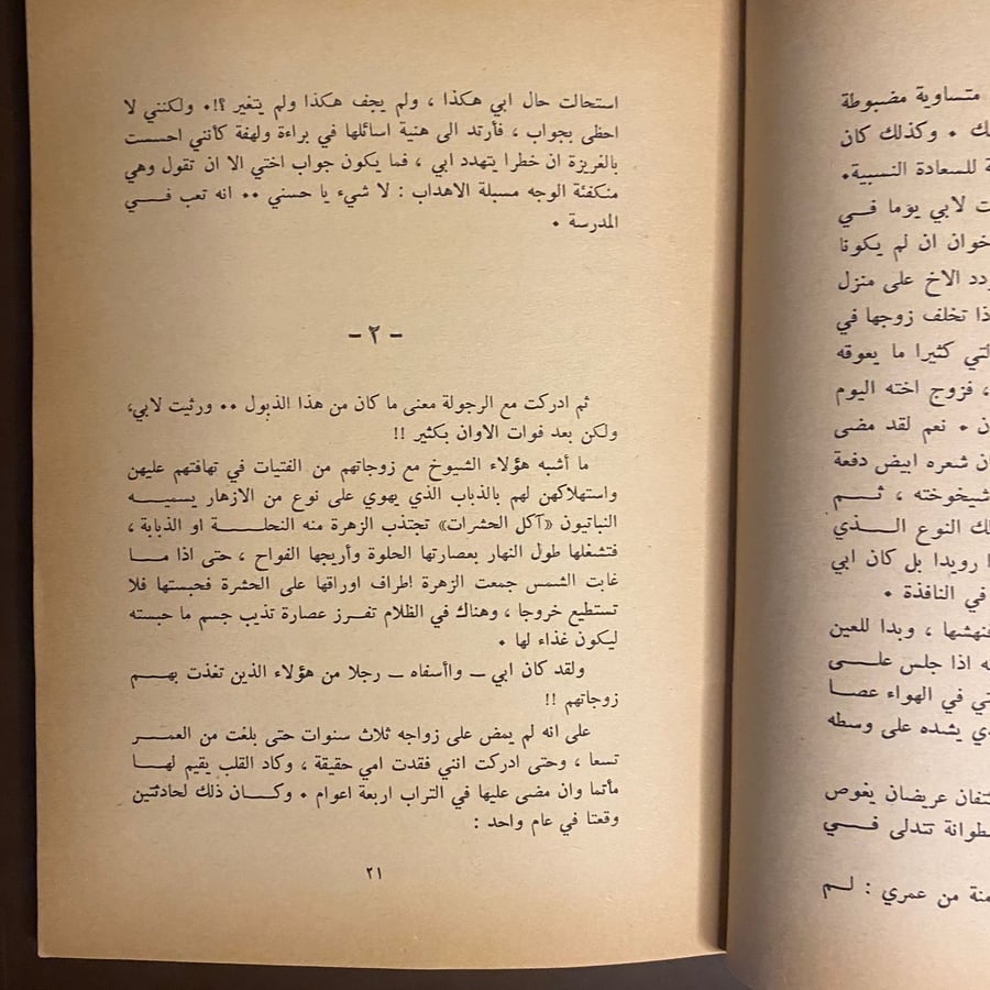 شجرة-اللبلاب-الهلال--k2