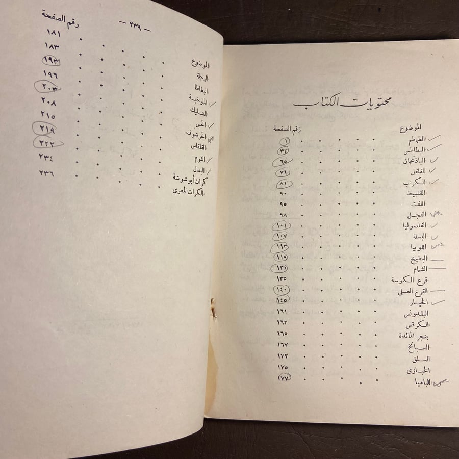 مزارع الخضروات-غرالدين فراج