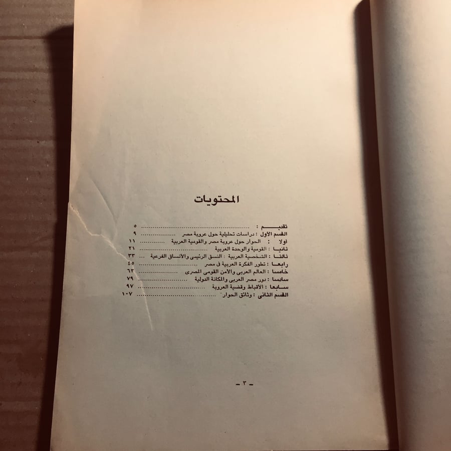 عروبة مصر - سعد الدين إبراهيم -n11