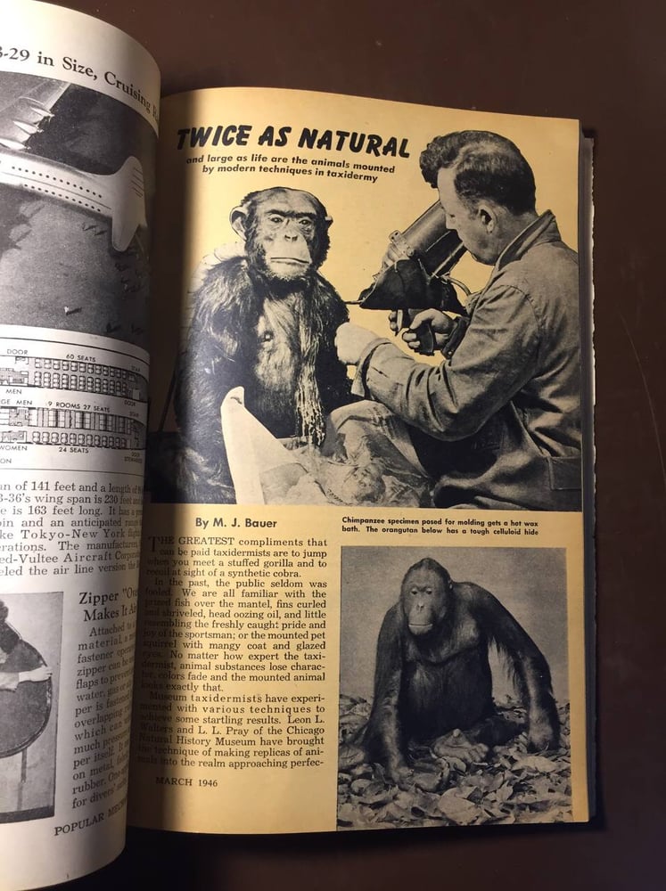 popular mechanics-magazine