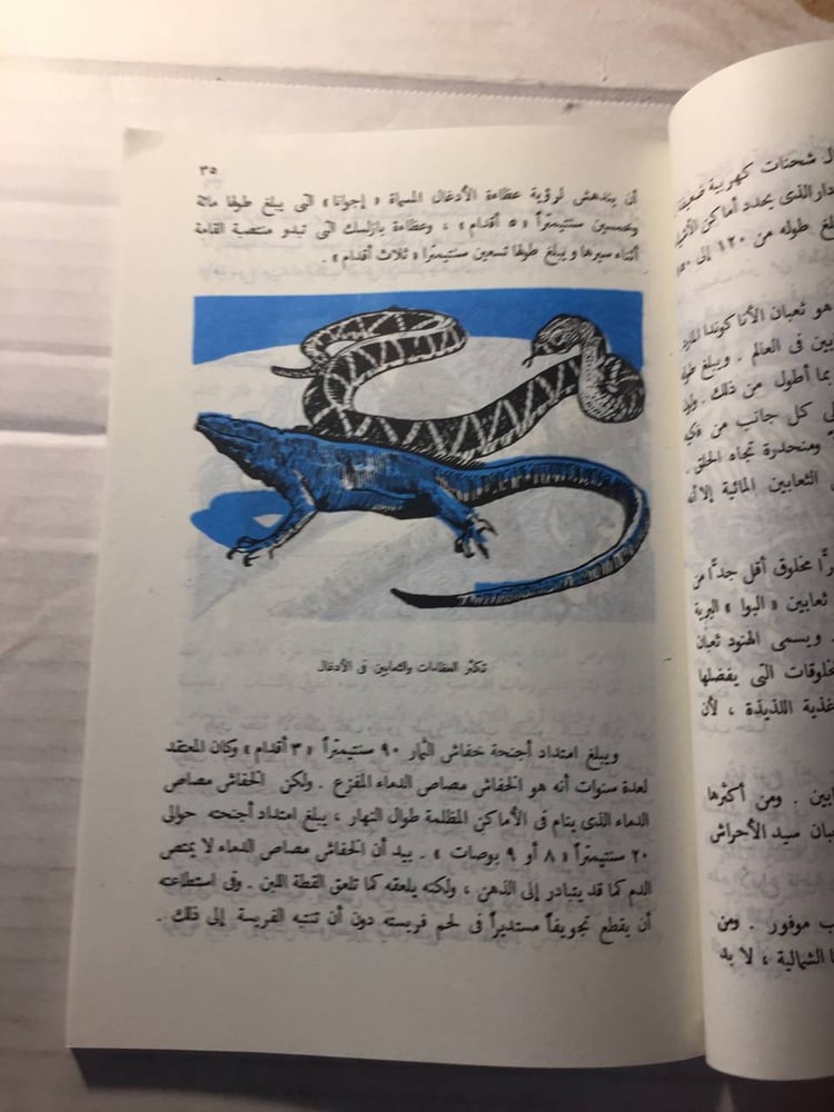 كل شئ عن الأدغال- ارمسترونج سبيري (O5)