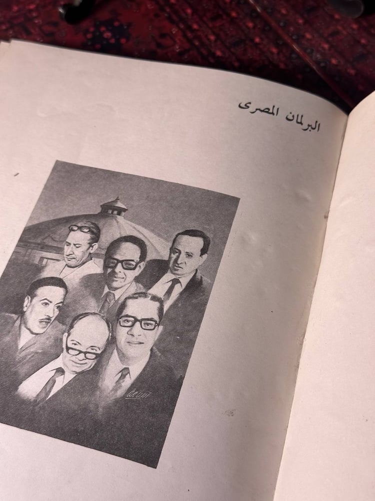 معارك الحصانة البرلمانية-محمد فوزي