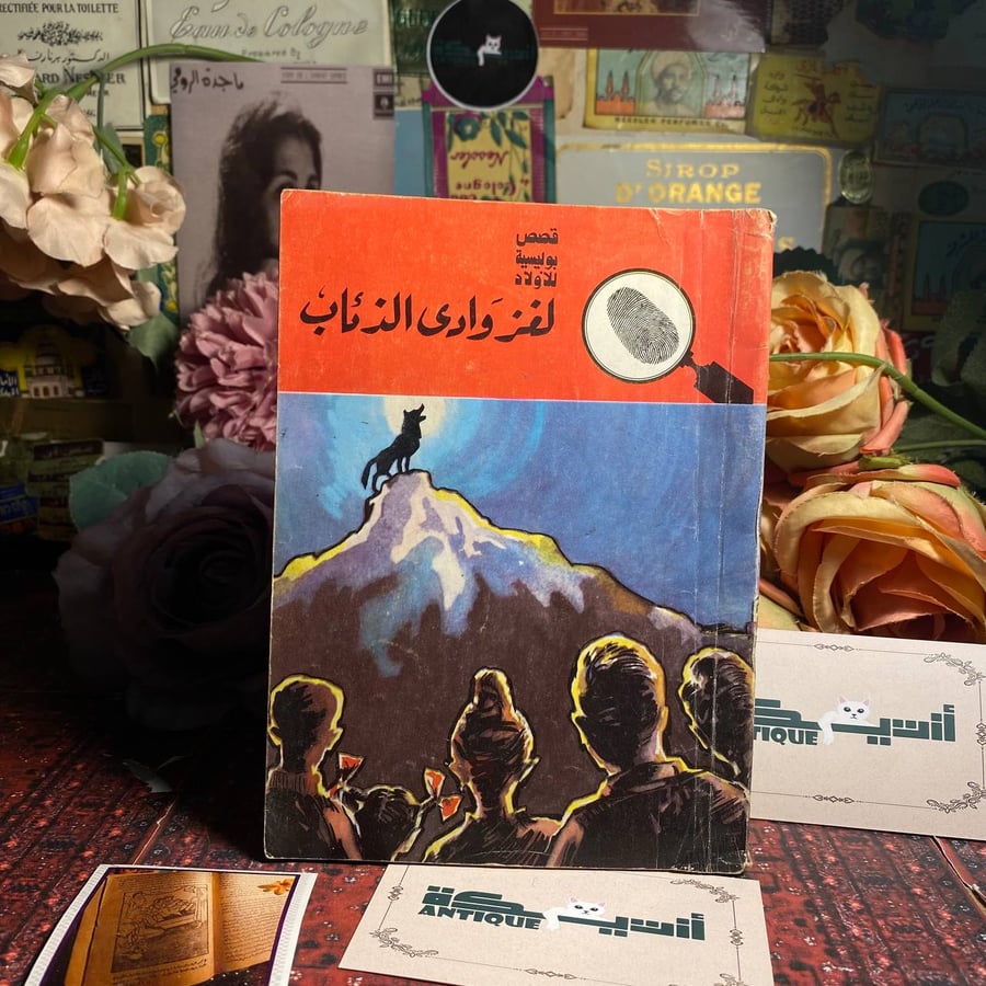 لغز وادى الذئاب - محمود سالم