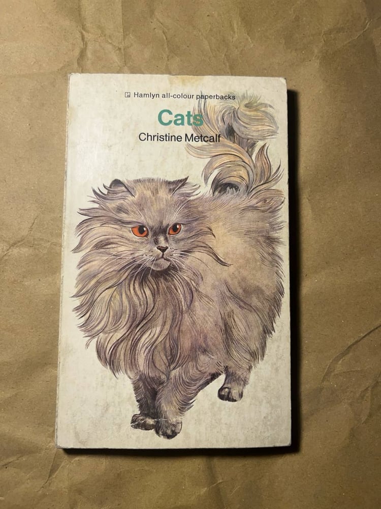 Cats_christine metcalf(VV)