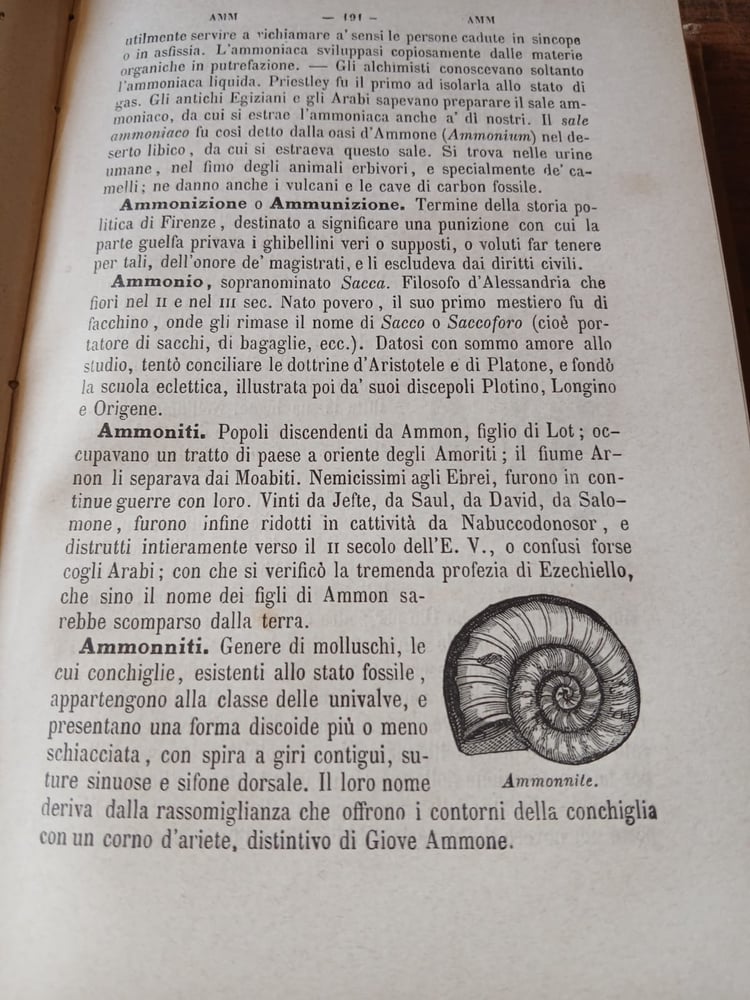 dizionario di cognizioni utili(E13)