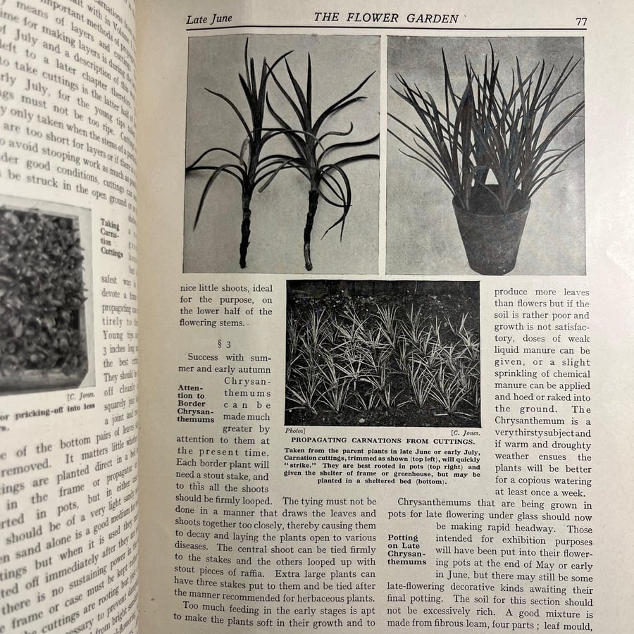 New book of gardenning- VOL .1-2-3  (M1)