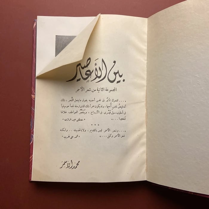 بين الاعاصير-محمد الاسمر