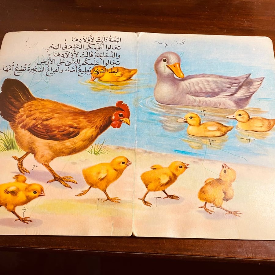 حيوانات أليفة-MS