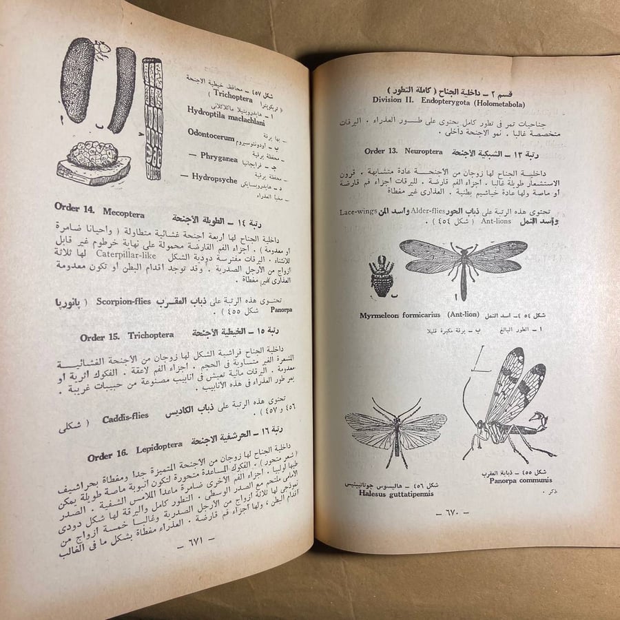 علم الحيوان -باركر وهاسويل-O8