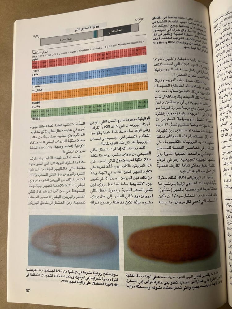 مجلة العلوم _