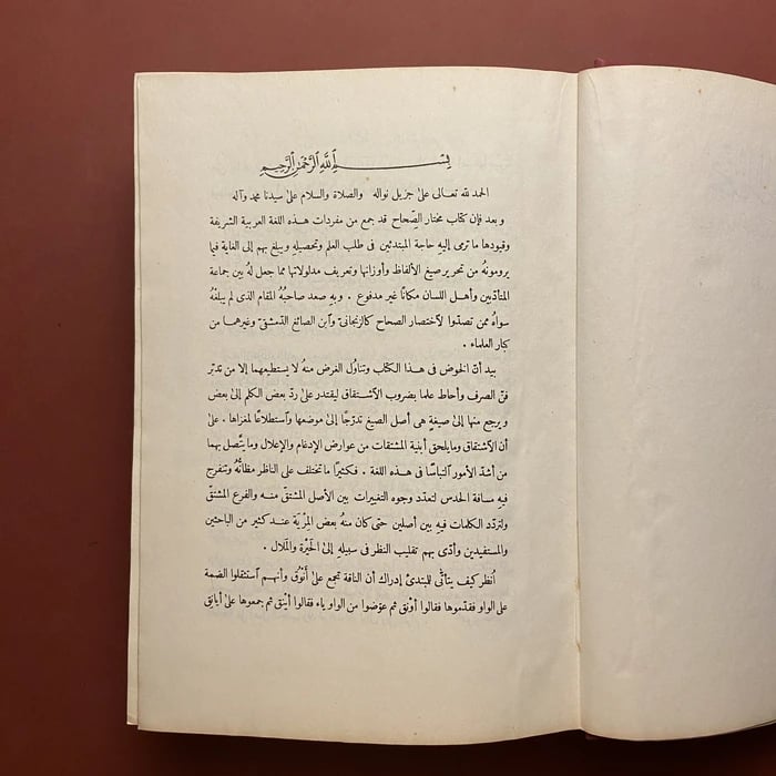 مختار الصحاح-محمد ابى بكر الرازىD10