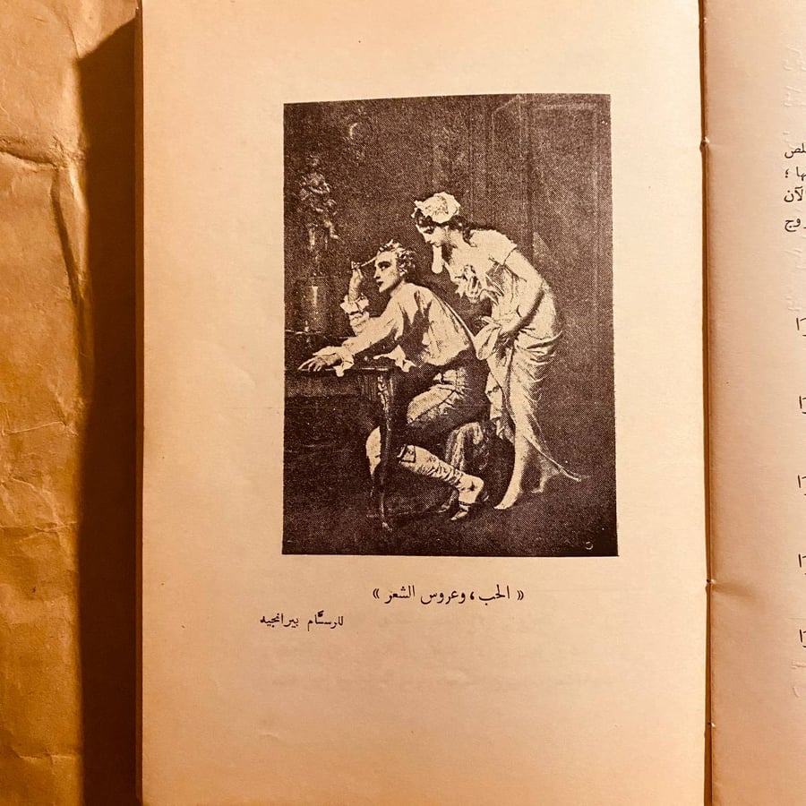شقائق النعمان _ عبده اسماعيل طهطاوي(O19)