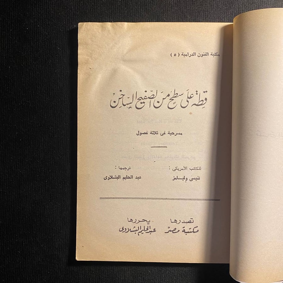 قطة على سطح من الصفيح الساخن - تني وليامز