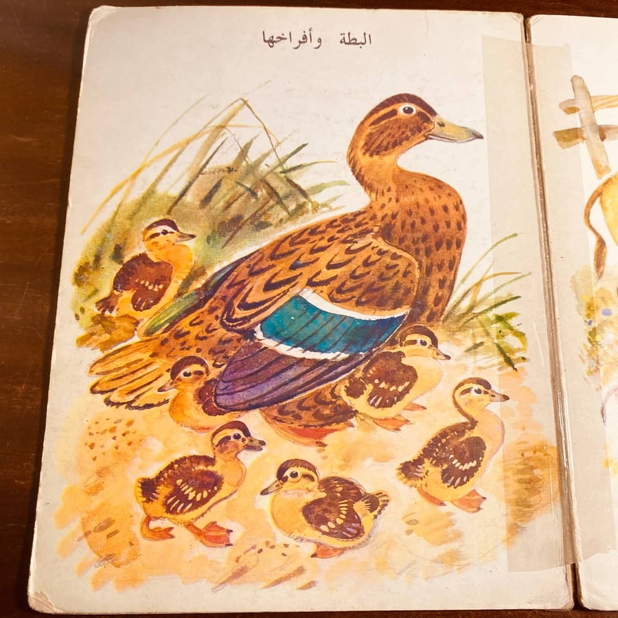 الكبار والصغار-MS