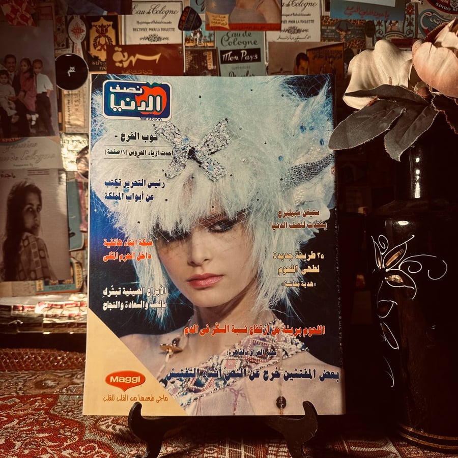 مجلة نصف الدنيا العدد 678