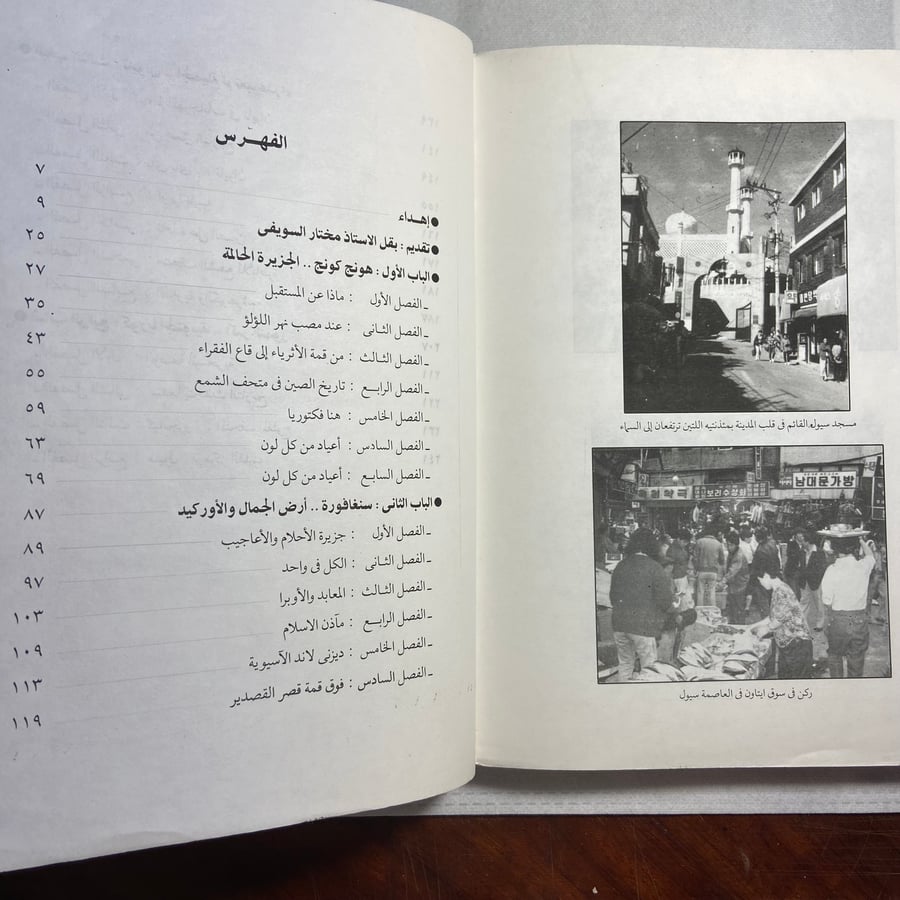 النمور الأسيوية سياحة في ربوع _سليمان مظهر