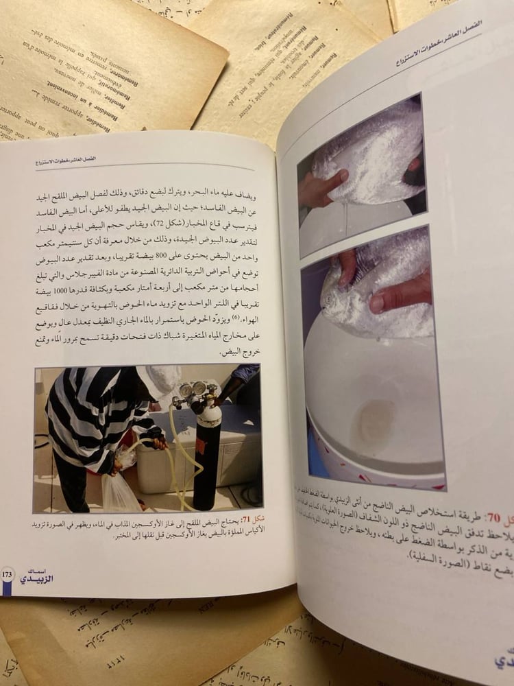 أسماك الزبيدي -سليمان محمد المطر