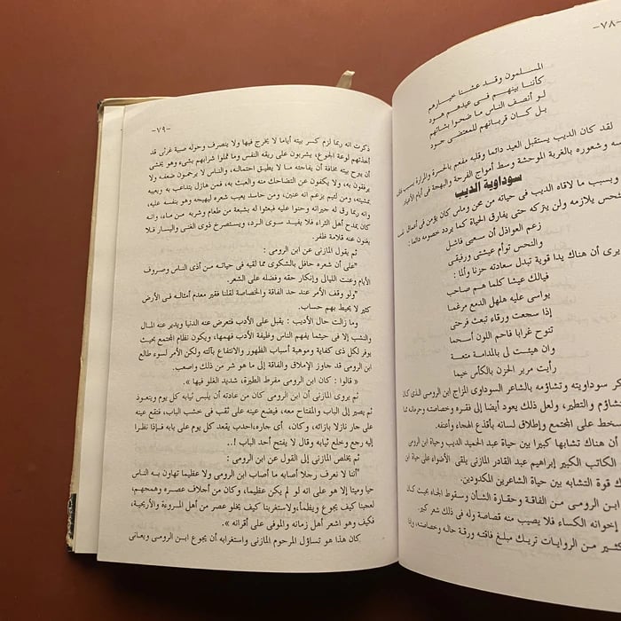 فيلسوف الصعاليك عبدالحميد الديب - محمد رضوان