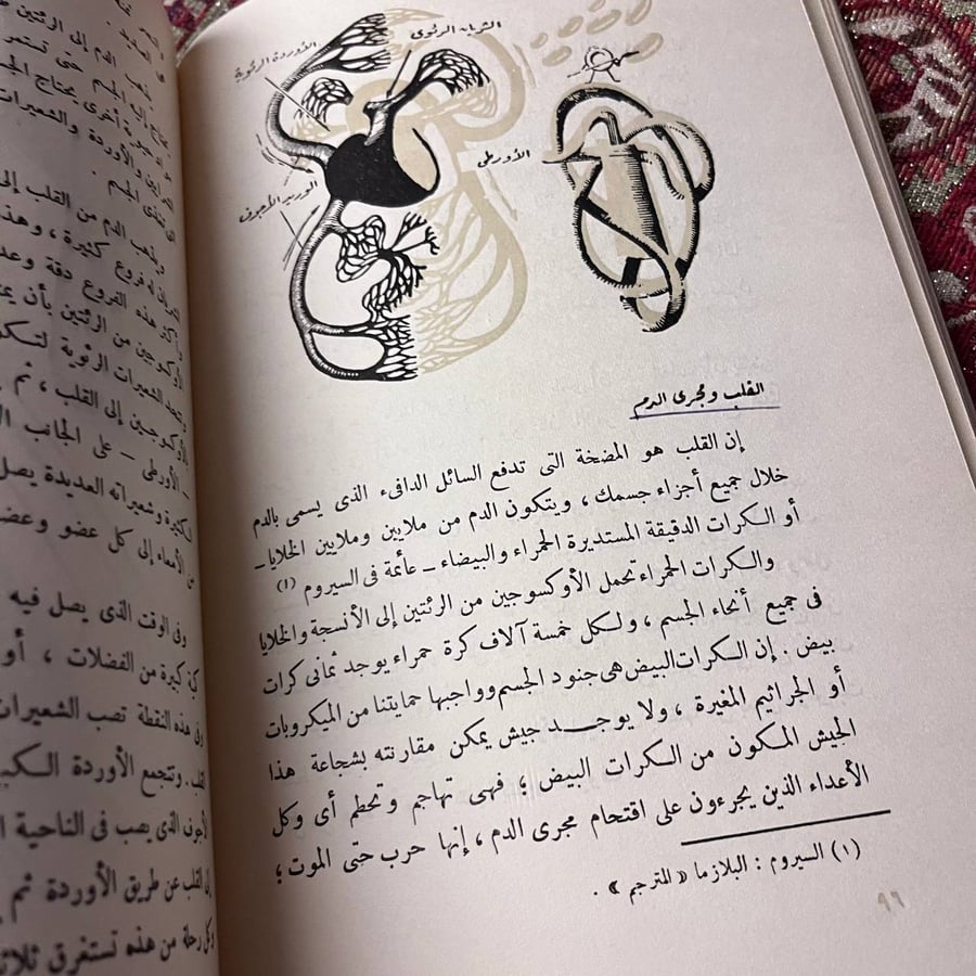 عجائب جسم الإنسان_أنتوني رافييللي