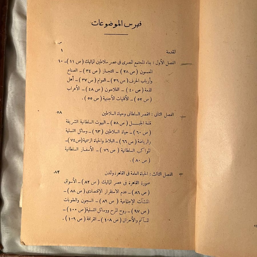 المجتمع المصري في عصر سلاطين المماليك  -سعيد عبدالفتاح