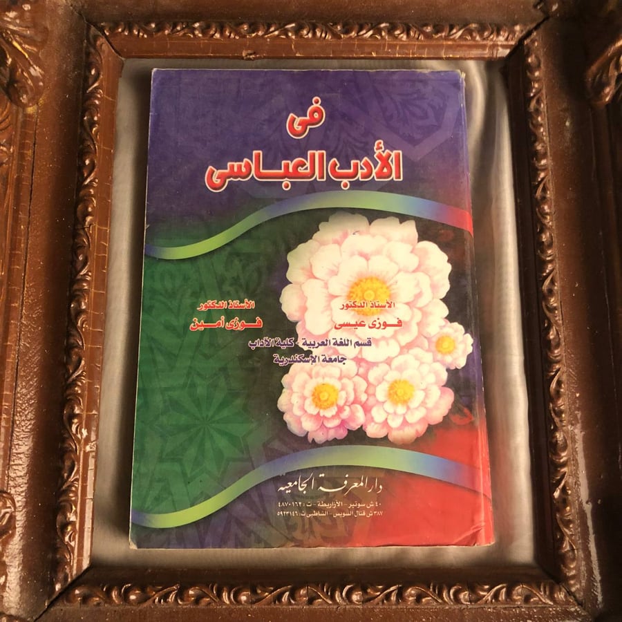 شراء كتاب في الادب العباسي لفوزي عيسي لفهم تطور الادب