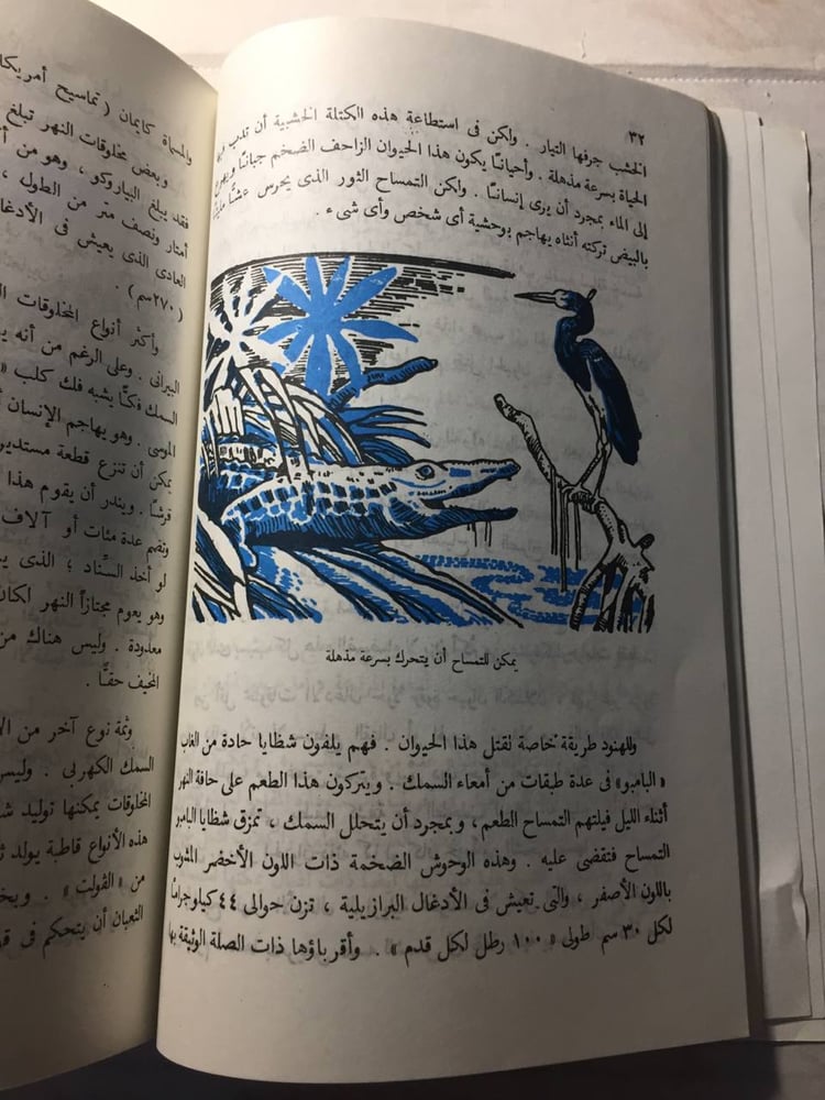 كل شئ عن الأدغال- ارمسترونج سبيري (O5)
