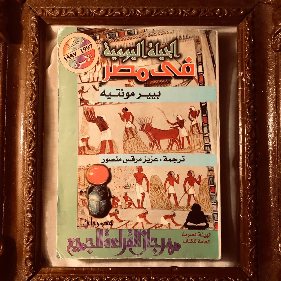 الحياة اليومية في مصر بيير مونتيه