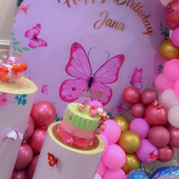 Butterflies theme