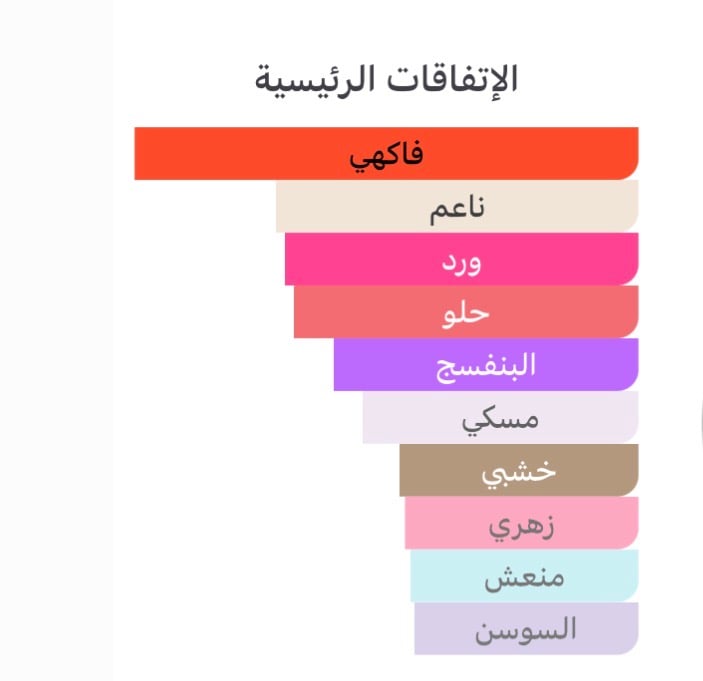 مستوحاه شانيل شانس أو سبلانديد