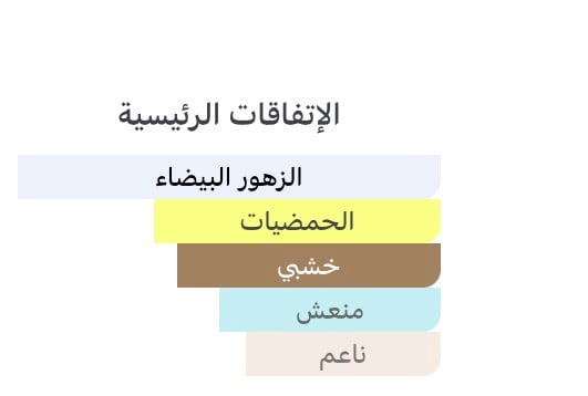 ذا بودي شوب لايف إز