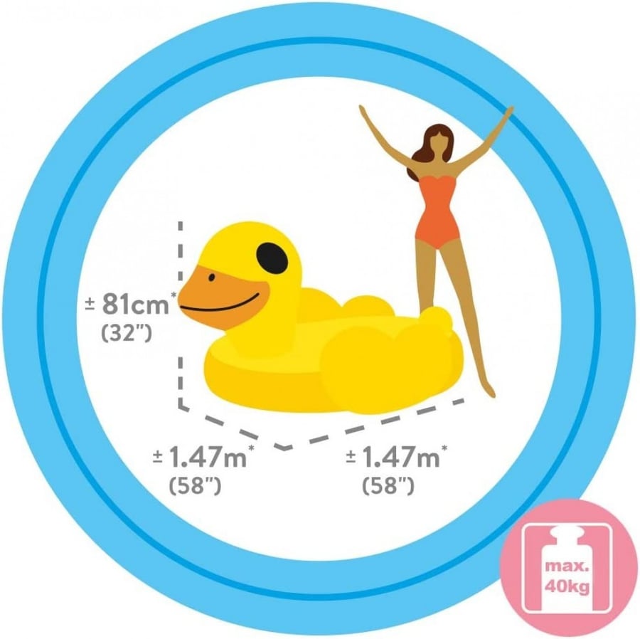 Inflatable duck 57556