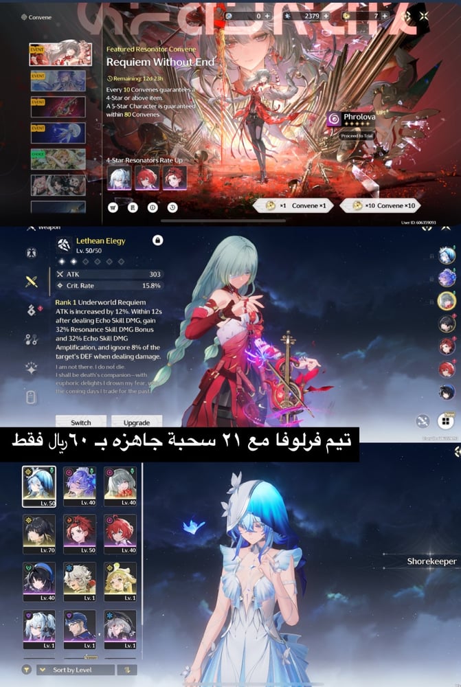 تيم فرلوفا