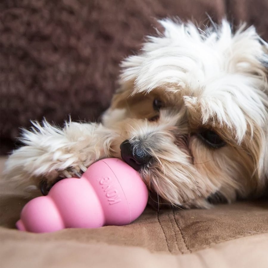 KONG Puppy - Large